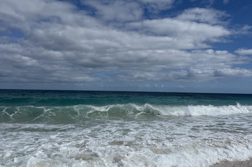 Escape to Paradise Luxe Yogatrip 2026